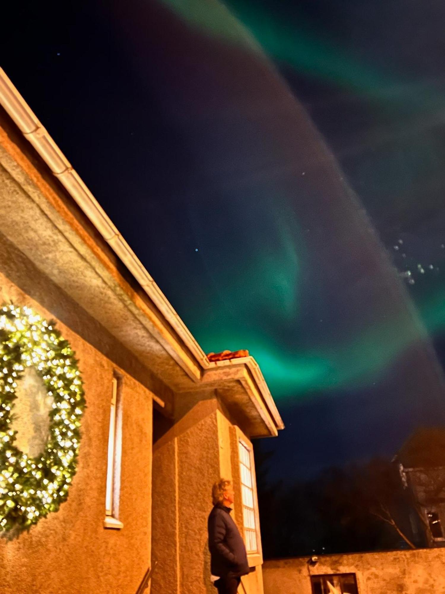 Casa Disa - Dreams, A Boutique Guesthouse In Reykjavik City'S Central Park And Botanical Garden In Laugardalur, Hot-Spring-Valley Exteriér fotografie