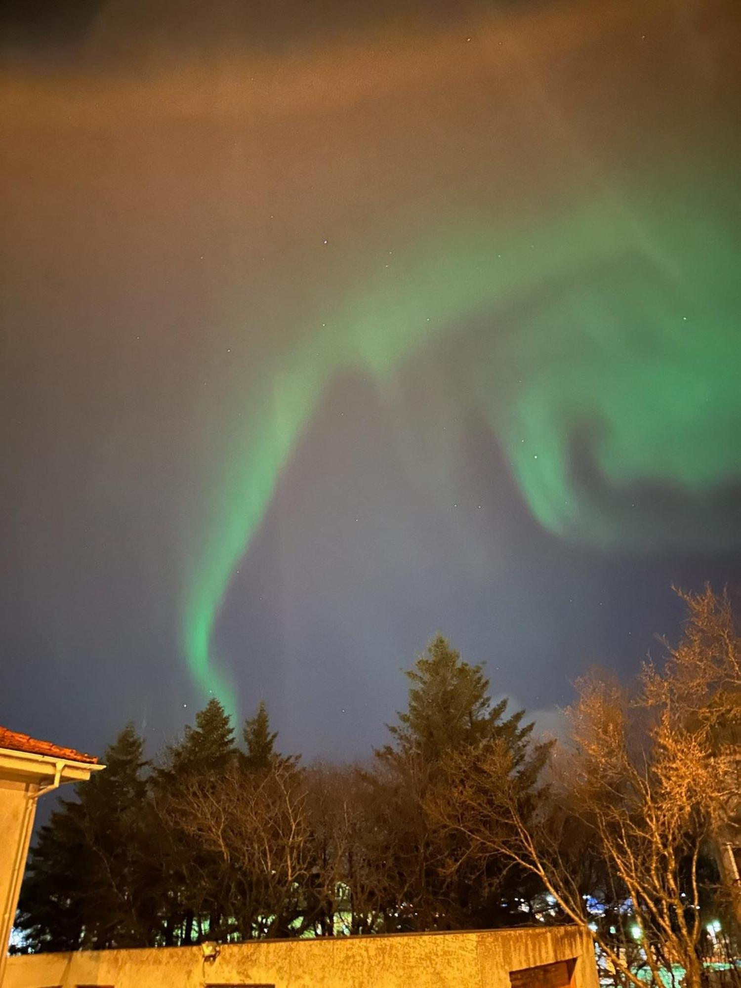 Casa Disa - Dreams, A Boutique Guesthouse In Reykjavik City'S Central Park And Botanical Garden In Laugardalur, Hot-Spring-Valley Exteriér fotografie