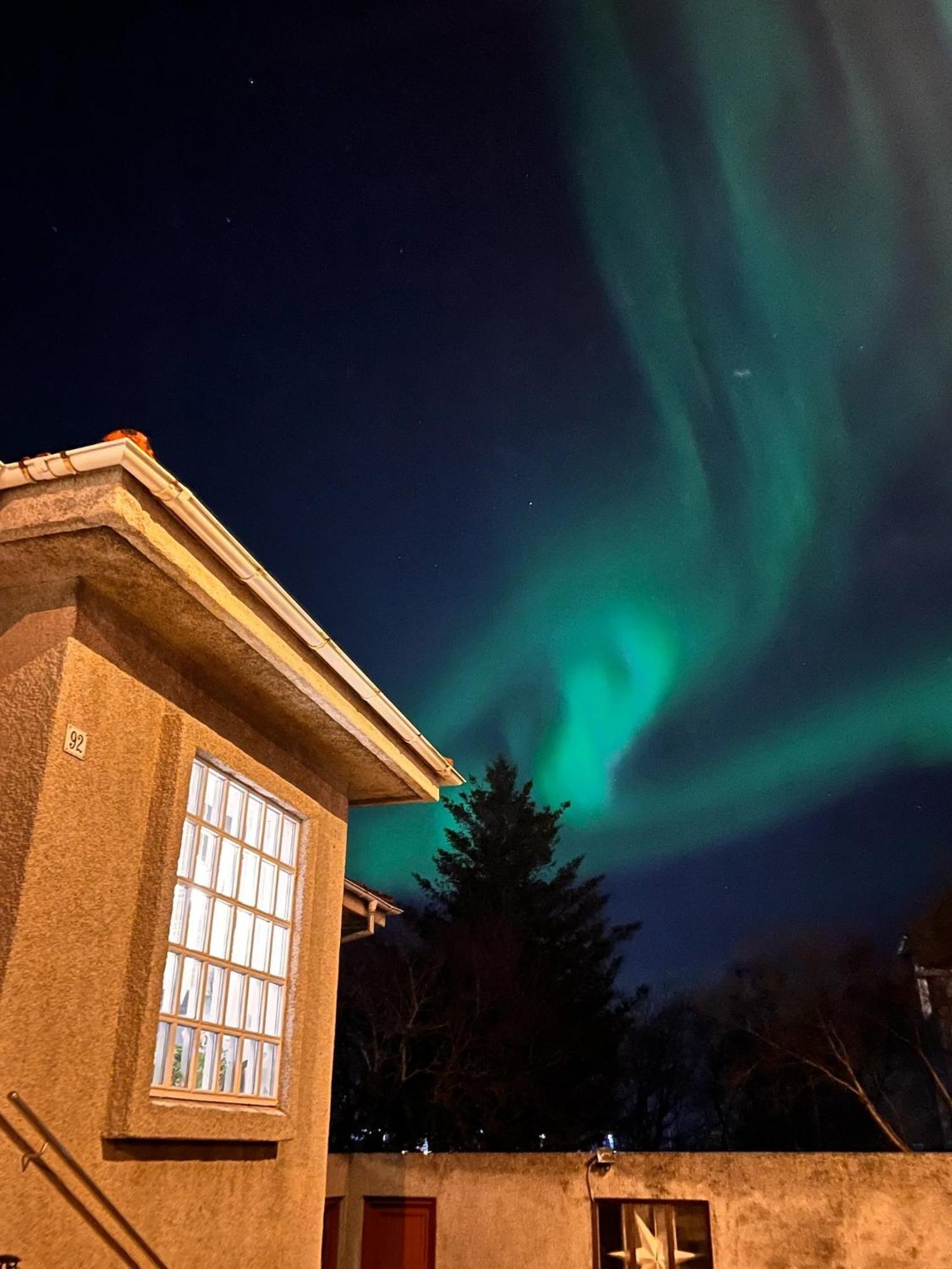 Casa Disa - Dreams, A Boutique Guesthouse In Reykjavik City'S Central Park And Botanical Garden In Laugardalur, Hot-Spring-Valley Exteriér fotografie